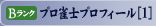 Bランク　プロ雀士プロフィール[1]
