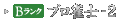 Bランク　プロ雀士-2