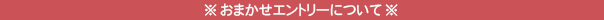 ※おまかせエントリーについて※